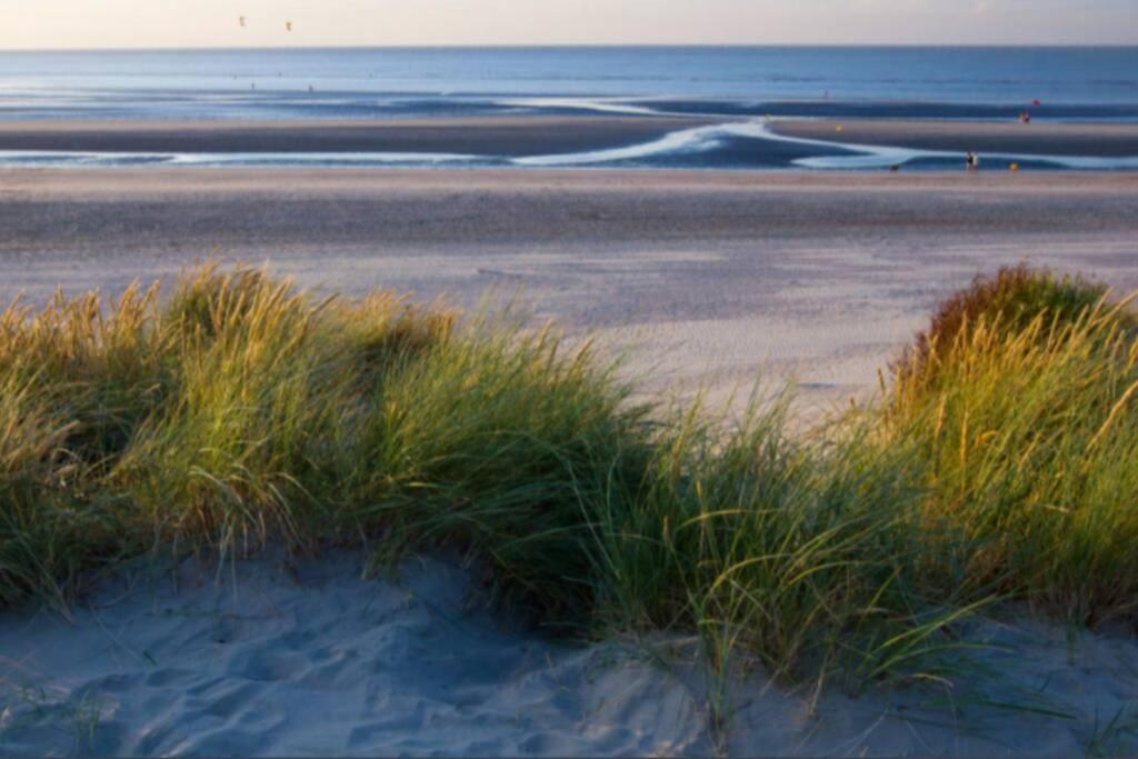 Studio COSY en bord de mer Dunkirk Exterior foto